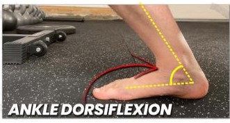 ankle dorsiflexion